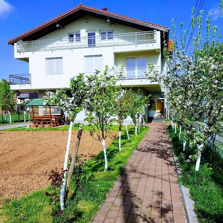 Apartman Peace Apartment Sarajevo Ngoại thất bức ảnh